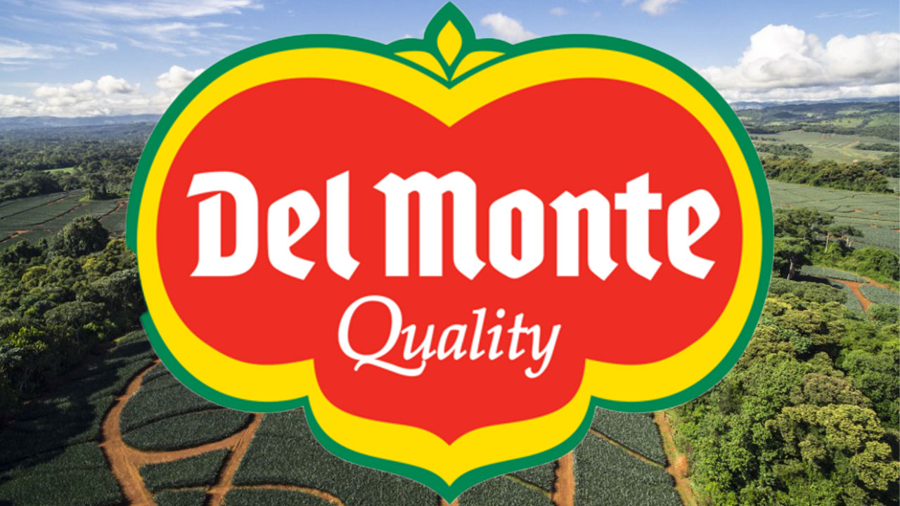 Fresh Del Monte Appoints Mark Gagnon to Lead Southern U.S. Sales Growth