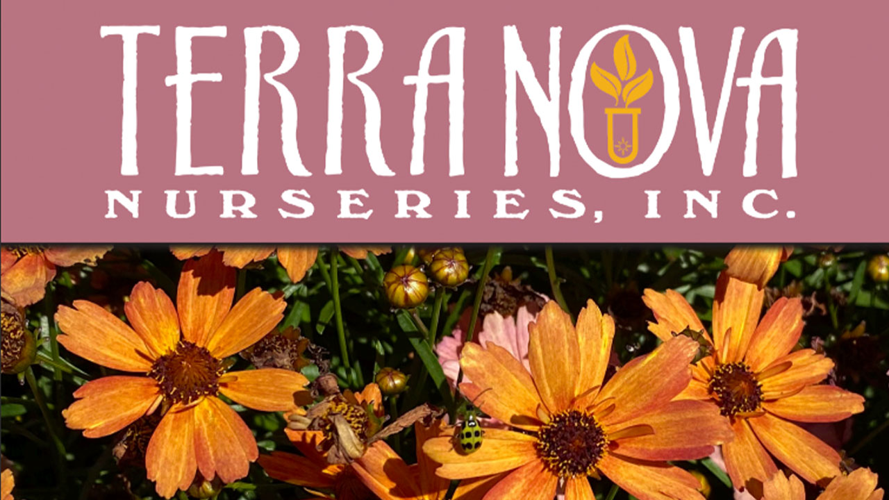 Terra Nova Nurseries Launches Custom Plant Flyers Program