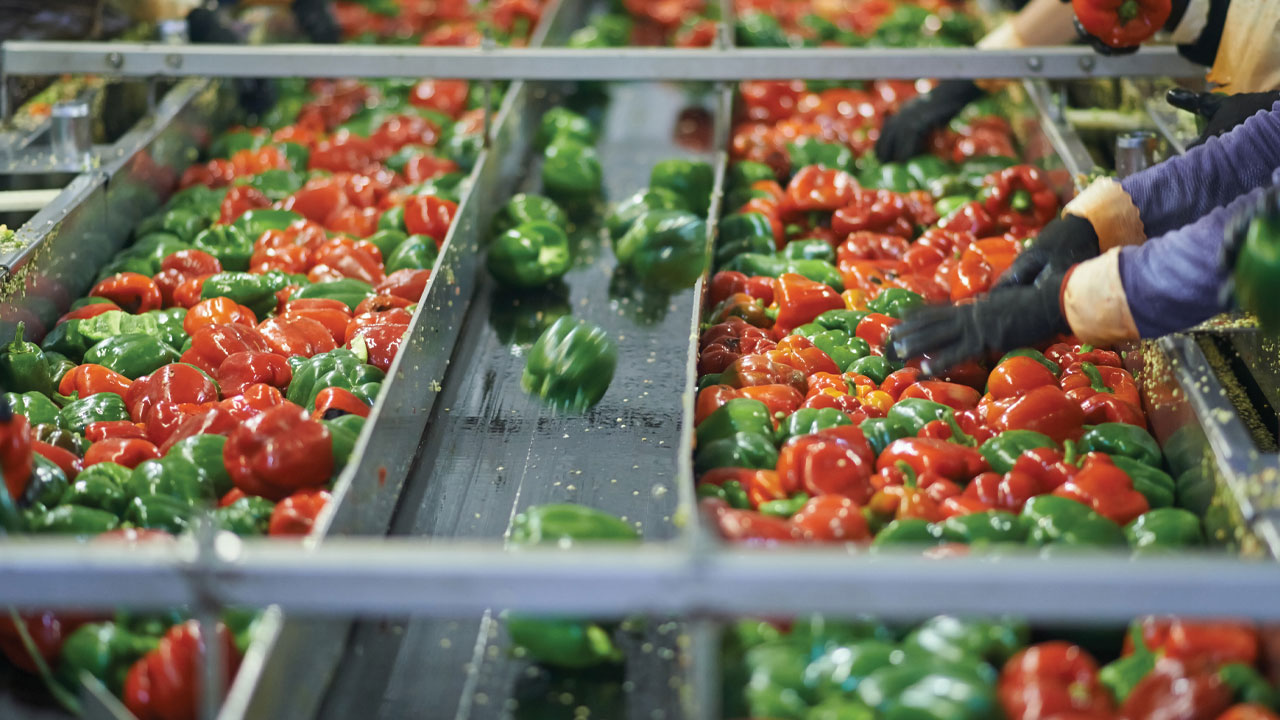 The Michigan State University Institute of Agricultural Technology (IAT) Expands Food Processing, Technology and Safety Workforce Training