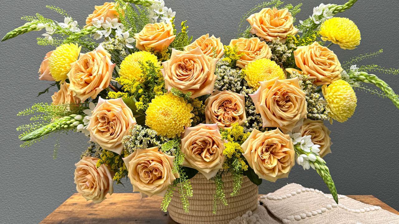 Danziger Launches the Global Rose Festival 2026 - Perishable News