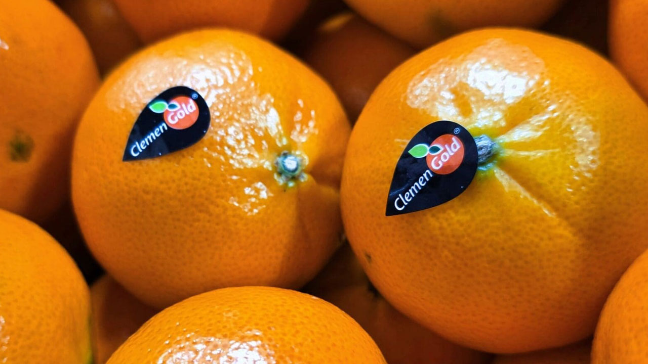 Clementine様確認用 ClemenGold and Sinclair: A Partnership Driving Sustainability for