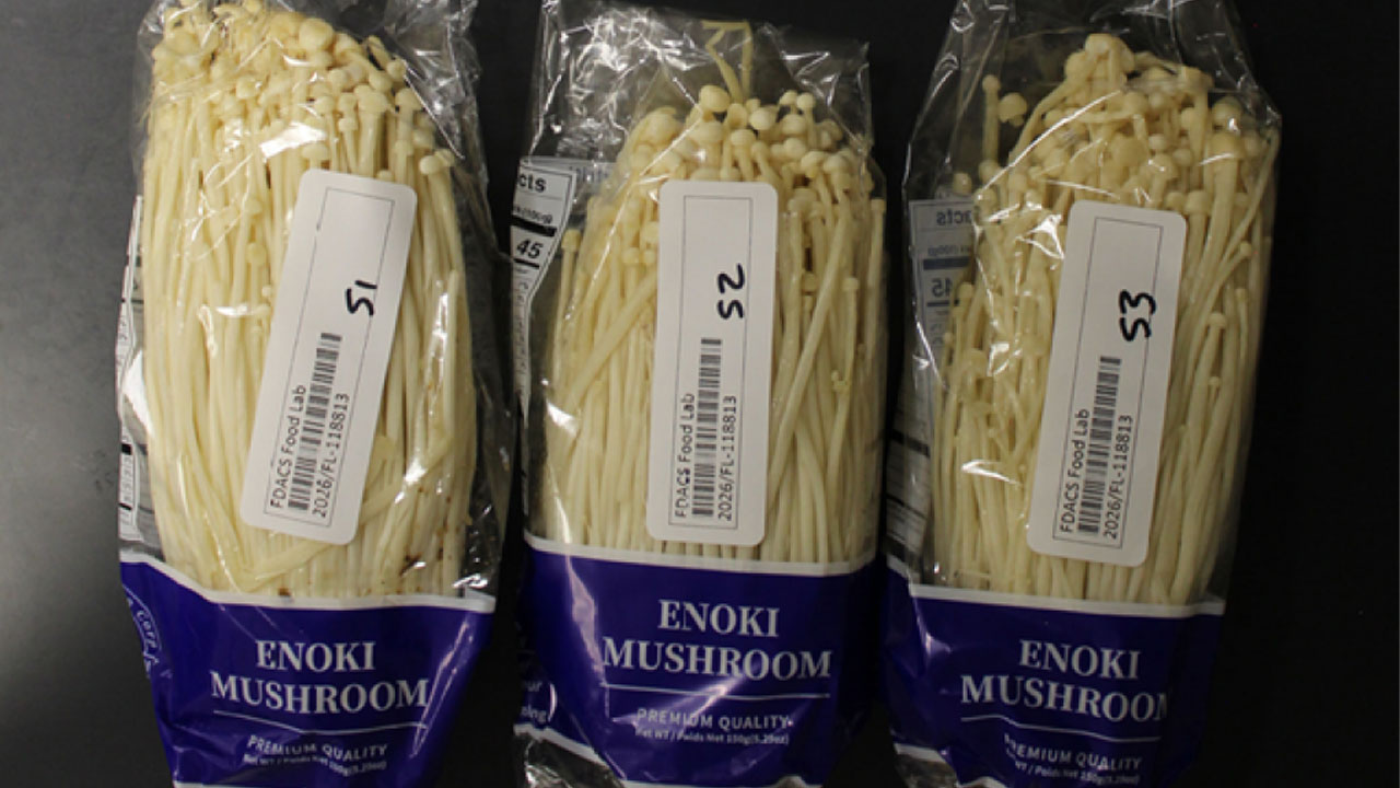 HH Fresh Trading Recalls TW Enoki Mushrooms Because of Possible