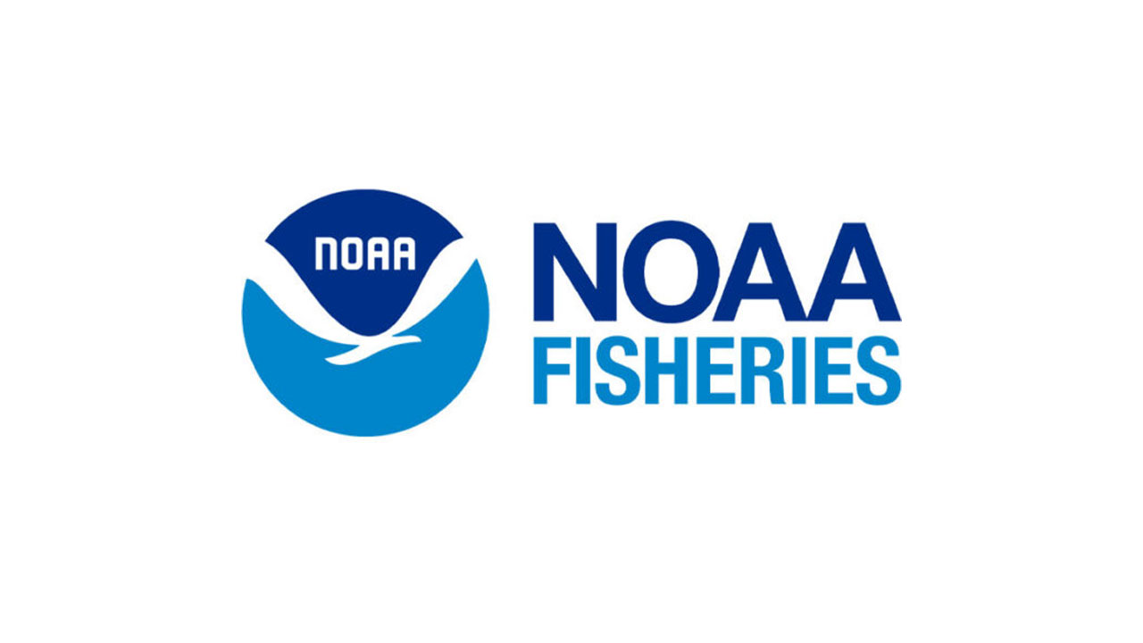 NOAA Announces Commercial Closure of Atlantic Migratory Group Spanish Mackerel Northern Zone in Federal Waters