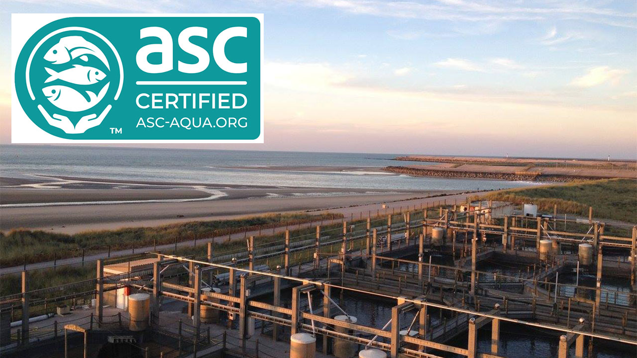 Gloria Maris Côte d’Opale Becomes the First French Seabass and Seabream Farm to Achieve ASC Certification