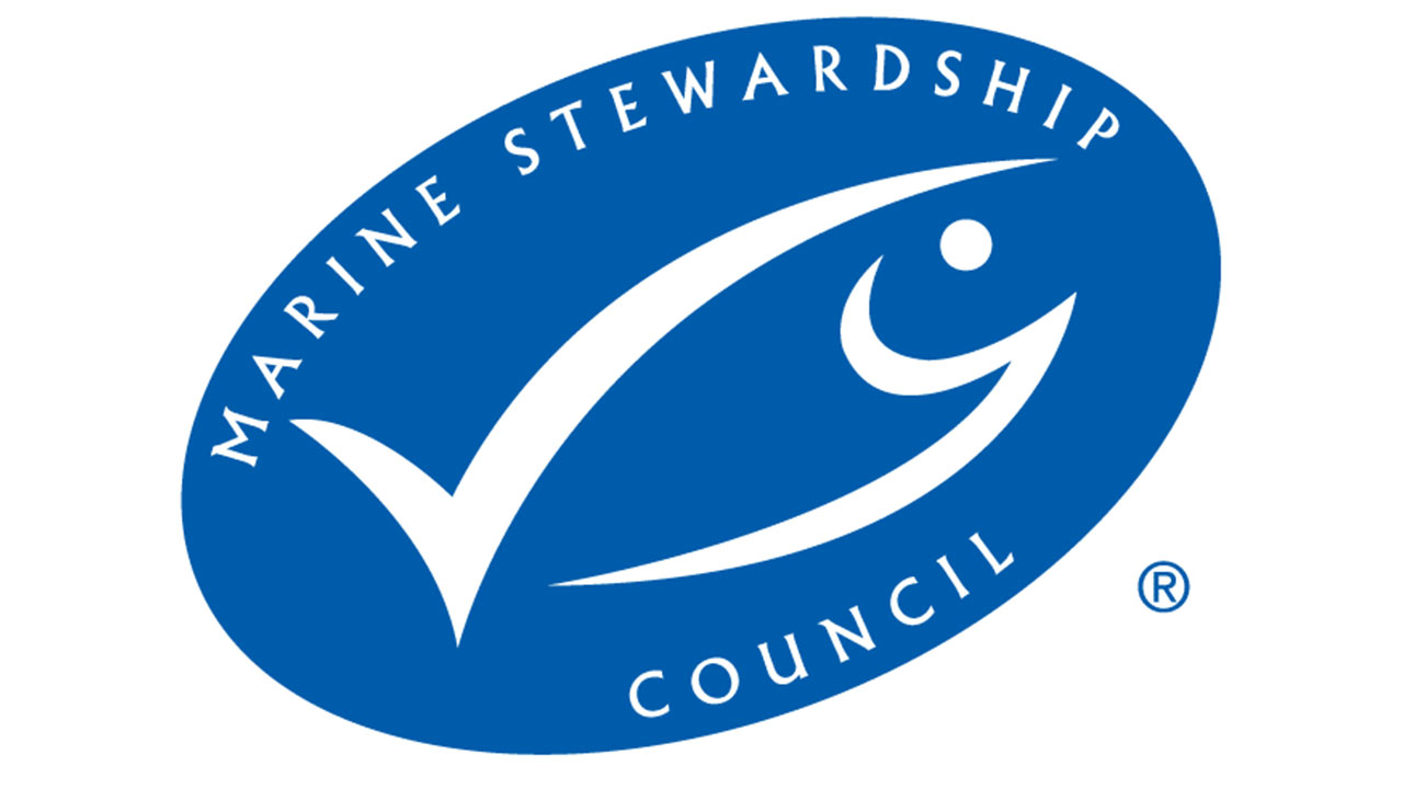 Record Number of Fisheries Engaged in MSC Global Program